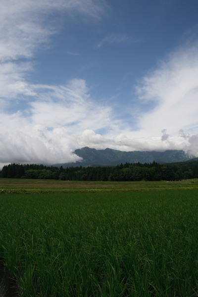 田んぼと空と妙高山