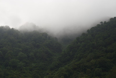 朝霧の山々