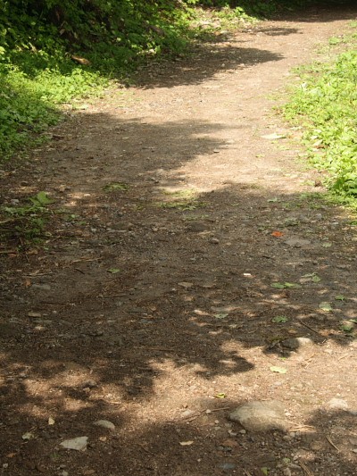 妙高山登山道