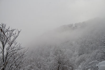 朝靄に雪景色