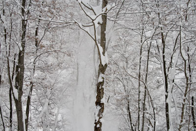 粉雪の舞い