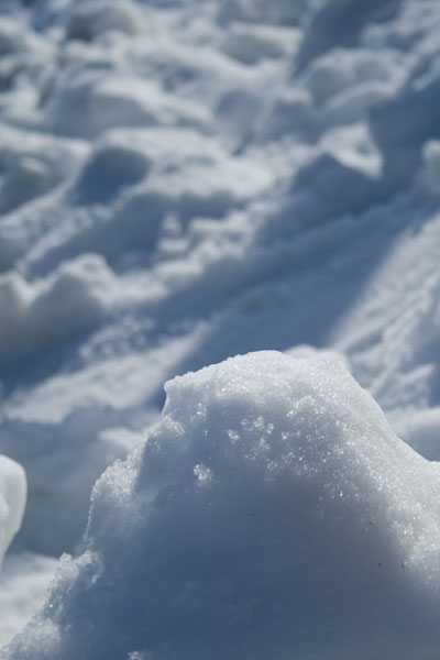 日に当たる雪