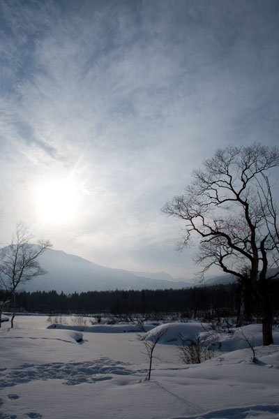 雪のいもり池