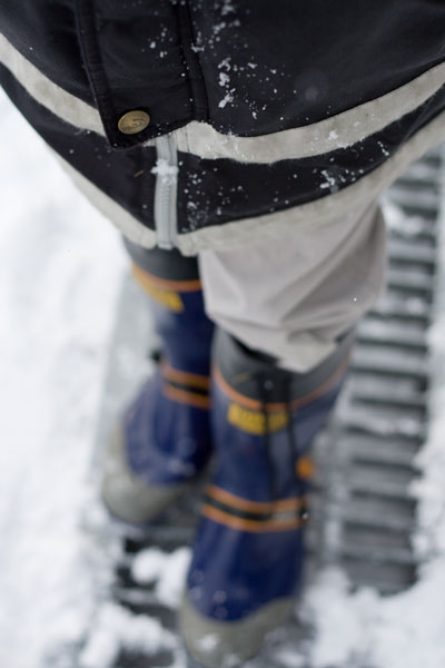 雪をつけて