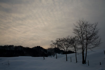 冬の松之山の風景