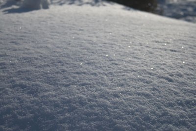 日差しが、雪を輝かせました