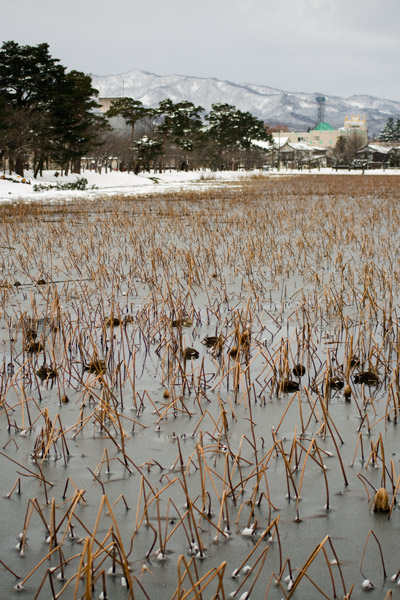 高田城址公園の外堀