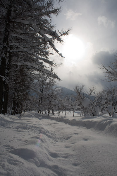 雪に閉ざされて