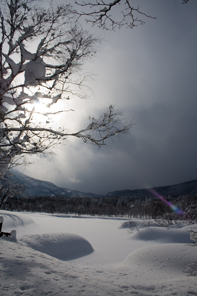 雪に覆われたいもり池