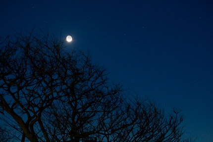 地球照（ちきゅうしょう、earthshine）も見られました