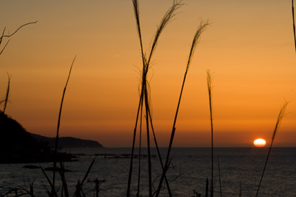 綺麗な夕日