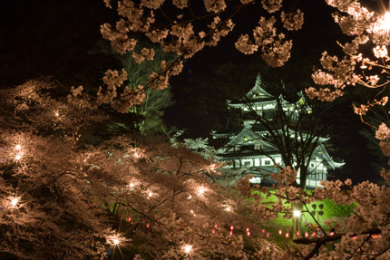 高田城三重櫓と夜桜