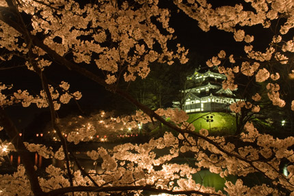 高田城三重櫓と夜桜