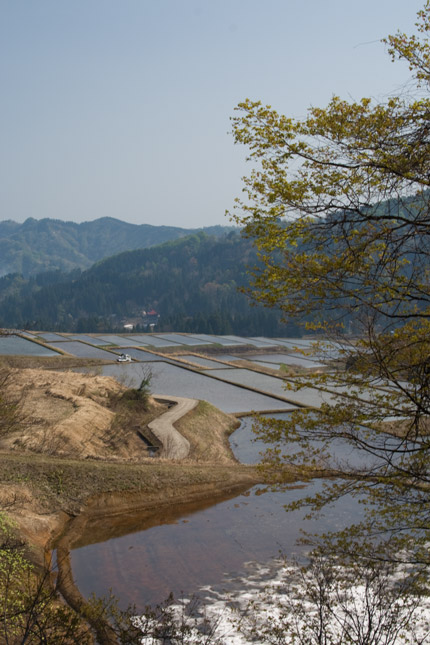 上越市大島区蓮野の棚田