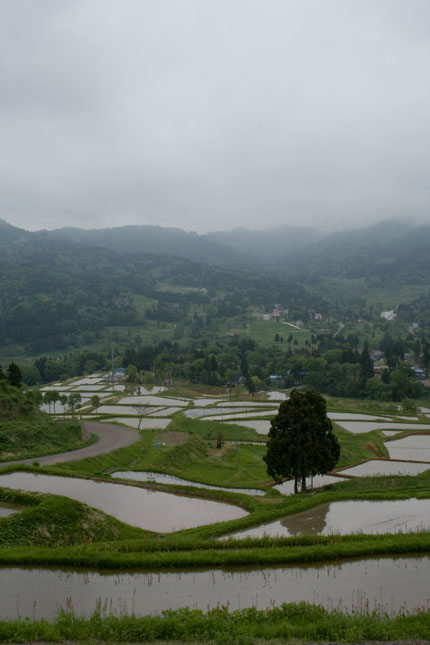 上越市板倉区の棚田