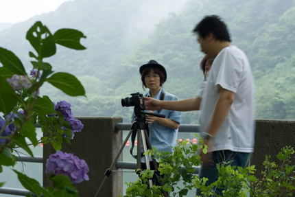 紫陽花撮影会