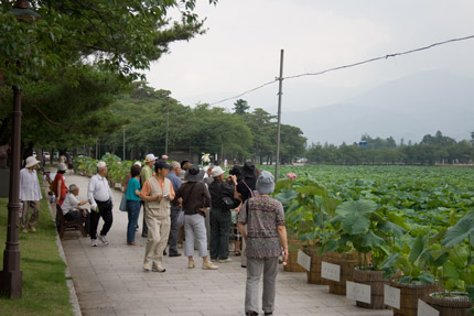 観光客が沢山