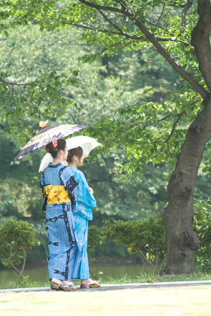 夏の日の散歩