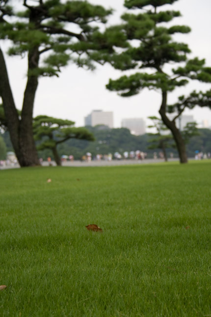 皇居外苑