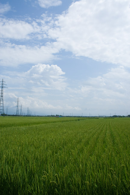 青い空が素敵