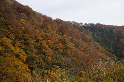 燕温泉から見る紅葉