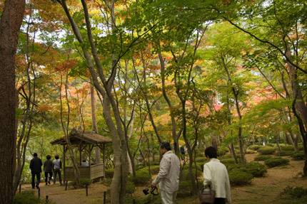 紅葉も始まったばかり