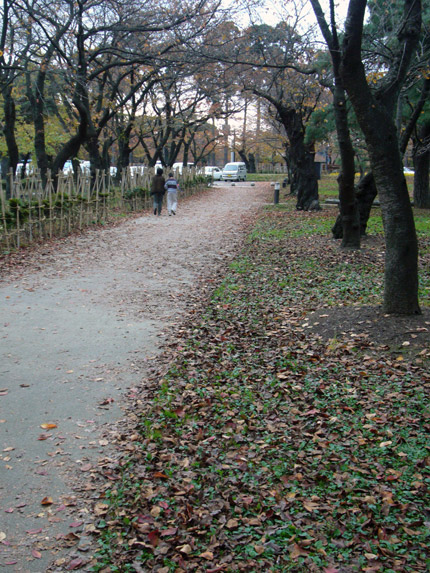 秋の終わりの高田公園の道