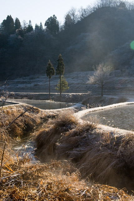 小川に光が注ぐ風景