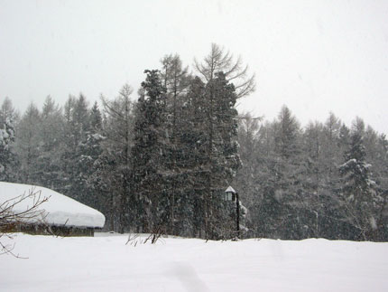 外に出ると雪