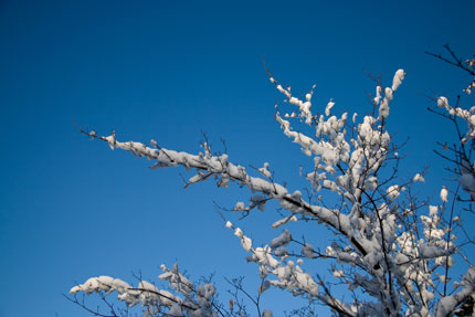 青空に雪