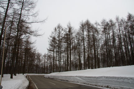 ちょっと寂しい妙高の風景