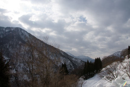 雪が少ない本年