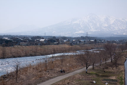 花が咲くのが待ち遠しい妙高山