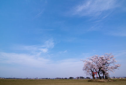 広い広い広い田の真ん中にポツンと