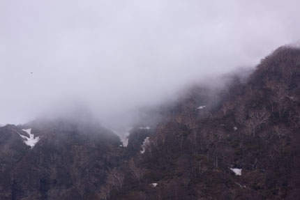 今年は雪が少なく