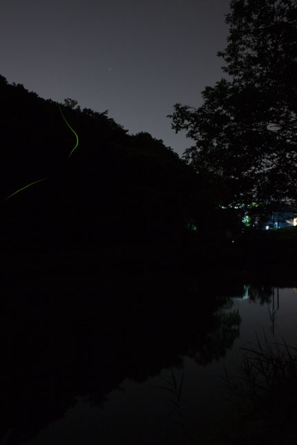 星空を眺めていてもホタルが舞います