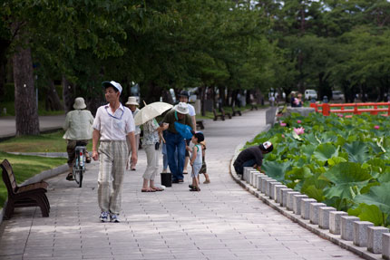 地元の人が散歩がてらにはすの花を見ている