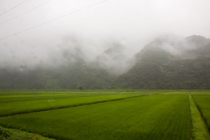 こんな長閑な風景が続く