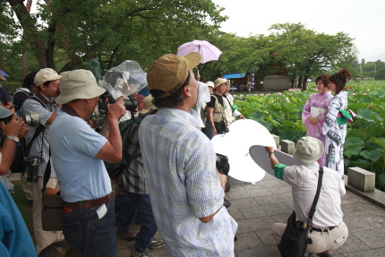 綺麗な蓮には美人が似合う