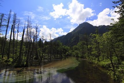 六百山を望む