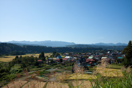 ススキに囲まれた山里の風景