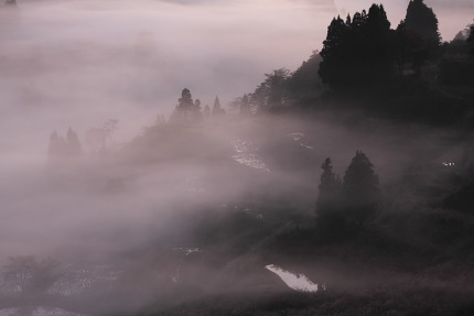 朝霧が立ちこめ暗黒世界のよう