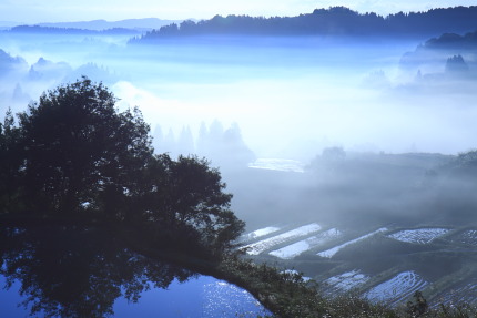 星峠の棚田の朝