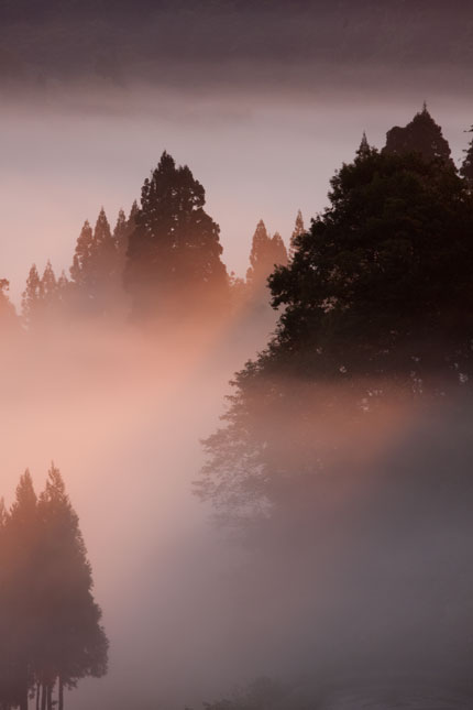 朝霧の中に虹のように輝く光景