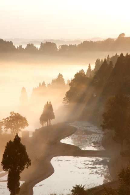 天使が降りてくるような光景