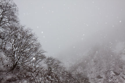 シンシンと降る雪