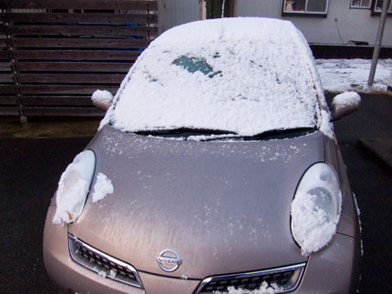 雪が降った