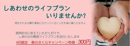 しあわせのライフプラン設計300円