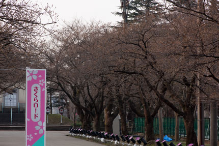 高田公園の様子