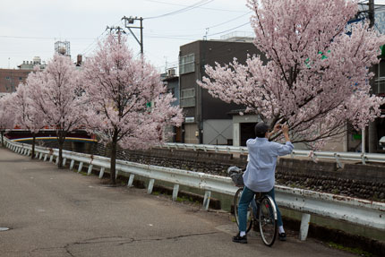 散歩する人がカメラを構えて撮影して行きます